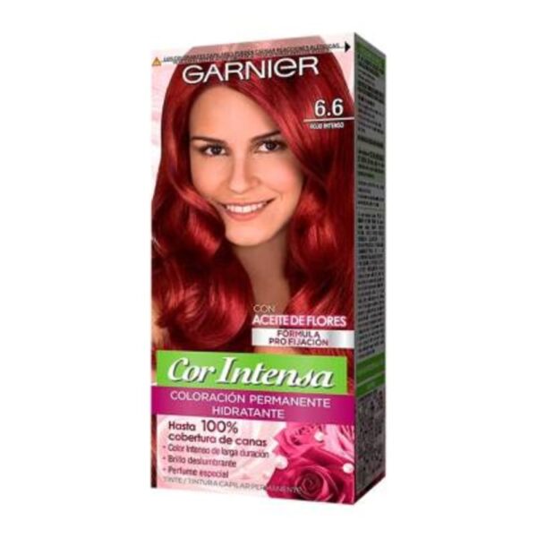 Garnier Cor Intensa 6.6 Rojo Intenso